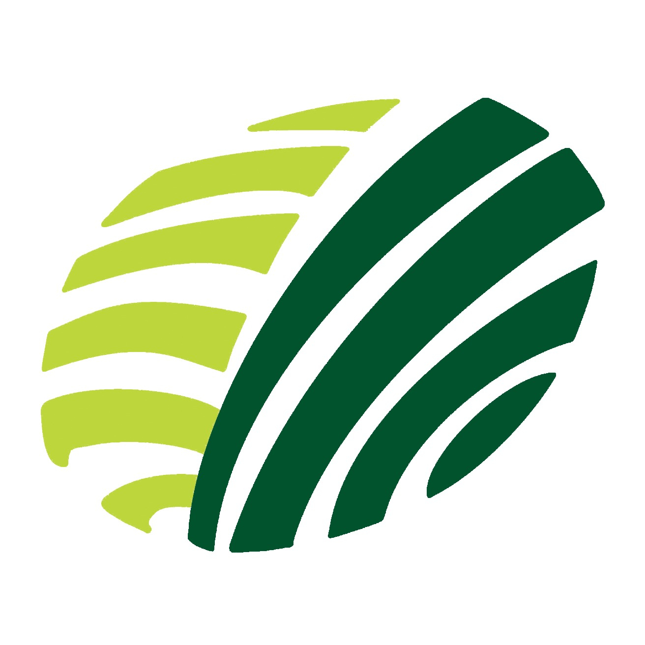 Vitidore, Inc. Logo
