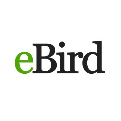 eBird Logo