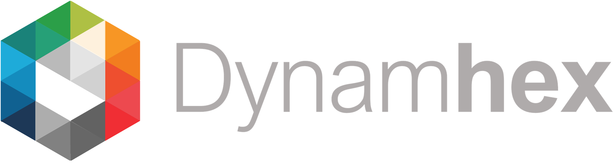 Dynamhex Logo